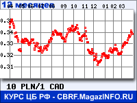 Курс Польского злотого к Канадскому доллару за 12 месяцев - график для прогноза курсов валют